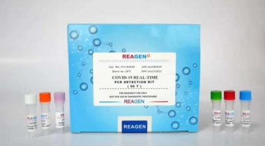 2019新型冠狀病毒（COVID-19）二重核酸檢測(cè)試劑盒（PCR-熒光探針?lè)ǎ? />
                            </a>
                        </div>
                                            </div>
                </div>
                <div   id="zn57rpxt3vf"   class="col-lg-5">
                    <div   id="zn57rpxt3vf"   class="product-intro">
                        <h1 class=