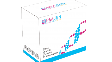 對(duì)蝦副溶血性弧菌恒溫核酸檢測試劑盒（免提?。? />
                            </a>
                        </div>
                                            </div>
                </div>
                <div   id="zn57rpxt3vf"   class="col-lg-5">
                    <div   id="zn57rpxt3vf"   class="product-intro">
                        <h1 class=